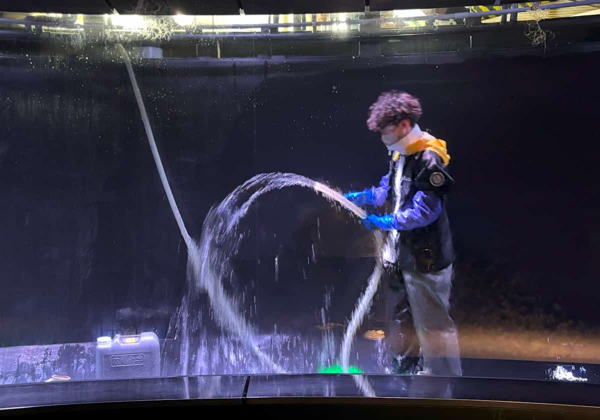 サンシャイン水族 クラゲパノラマ水槽