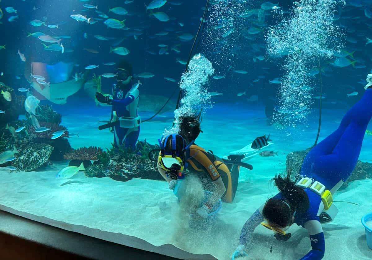 サンシャイン水族 クラゲパノラマ水槽