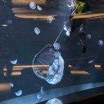 サンシャイン水族 クラゲパノラマ水槽