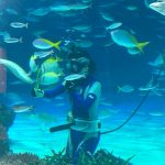 サンシャイン水族 クラゲパノラマ水槽