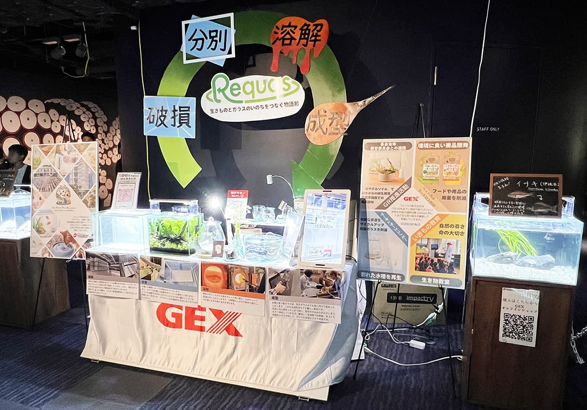 GEX×四国水族館 サーキュラーエコノミー啓発企画展 『生きものとガラスのいのちをつなぐ物語展』