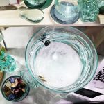 GEX×四国水族館 サーキュラーエコノミー啓発企画展 『生きものとガラスのいのちをつなぐ物語展』