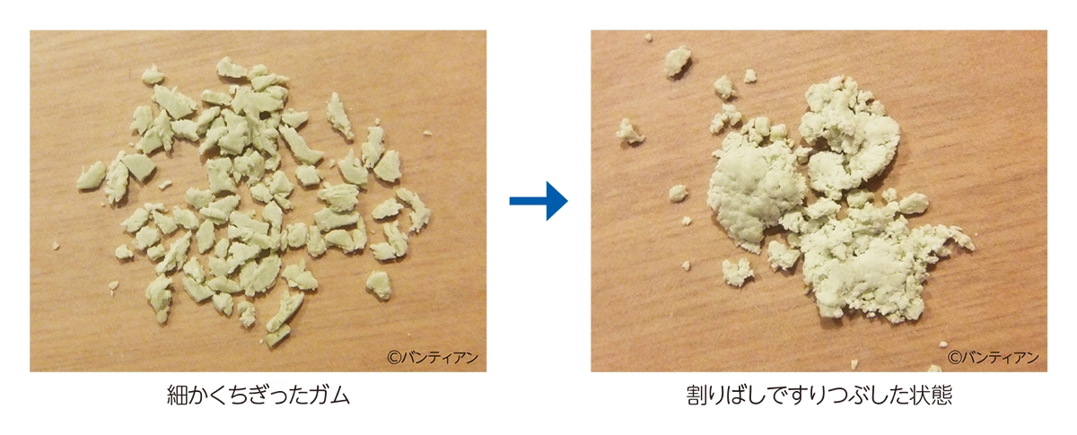 中学生の理科 自由研究 お手軽編