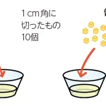 中学生の理科 自由研究 お手軽編