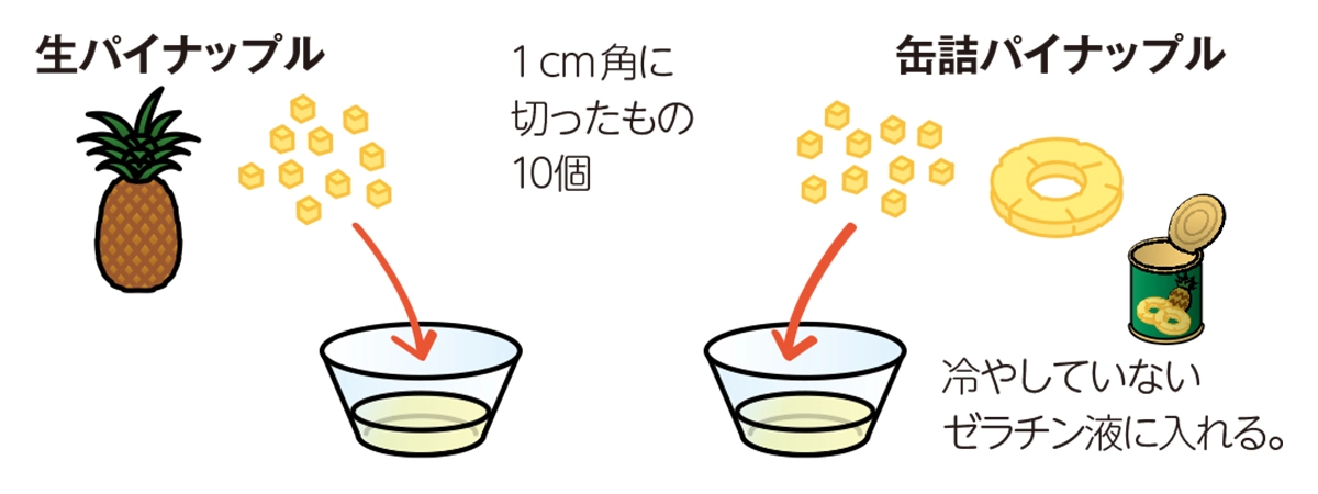 中学生の理科 自由研究 お手軽編
