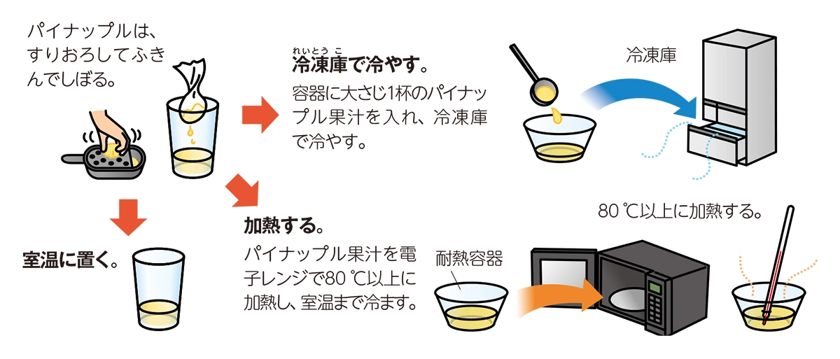 中学生の理科 自由研究 お手軽編