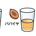 中学生の理科 自由研究 お手軽編