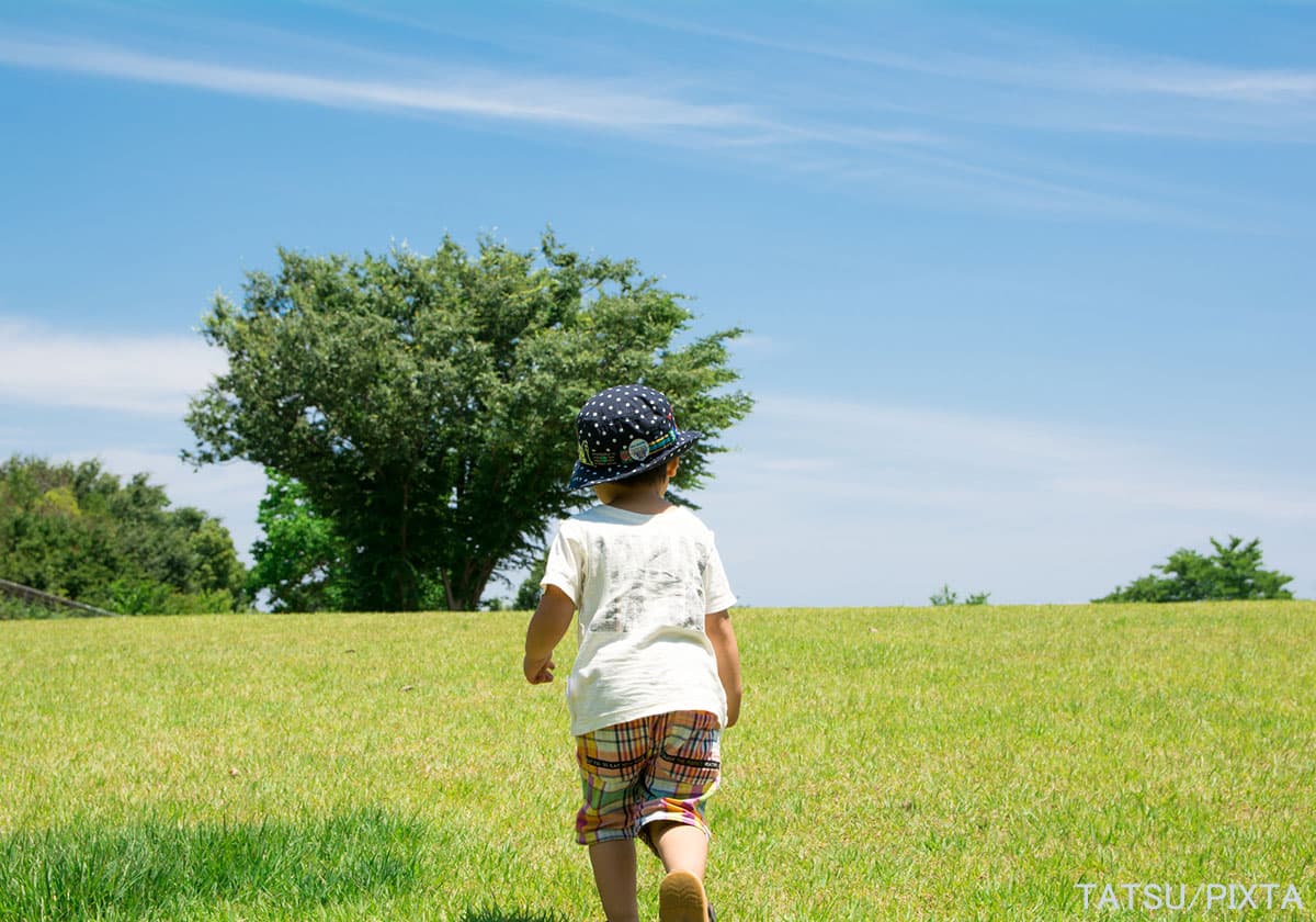 6歳の男の子の草原を走る後ろ姿