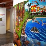 こびとづかん 秋まつり