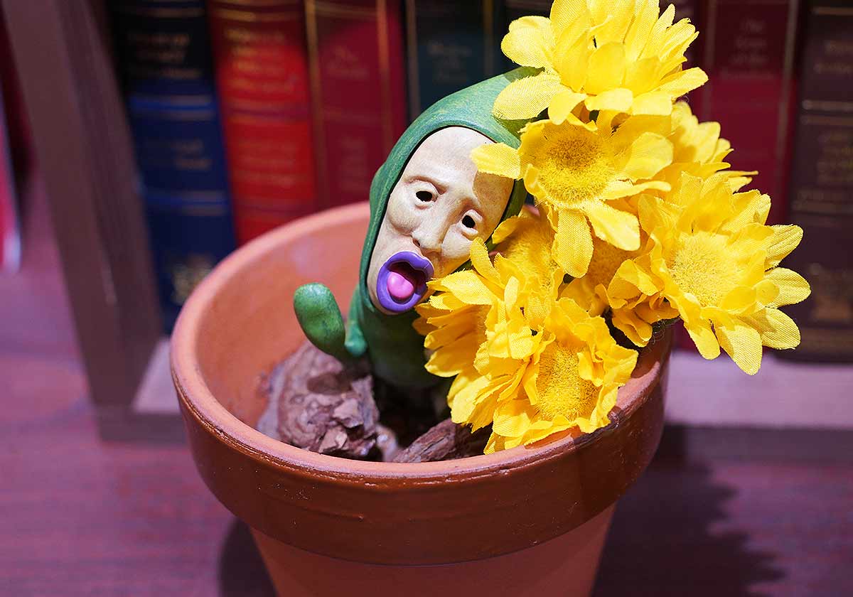 こびとづかん秋まつり~秋のこびと自由研究~