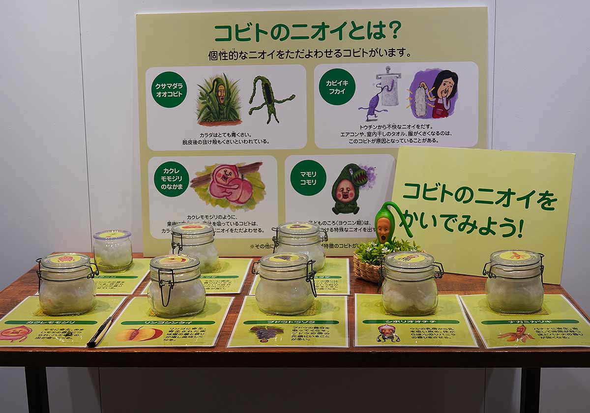 こびとづかん秋まつり~秋のこびと自由研究~