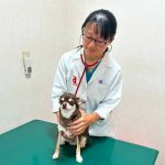 獣医師の齋藤麻実子さん