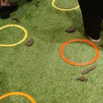 立川PLAY! MUSEUM「大ピンチ展！プラス」