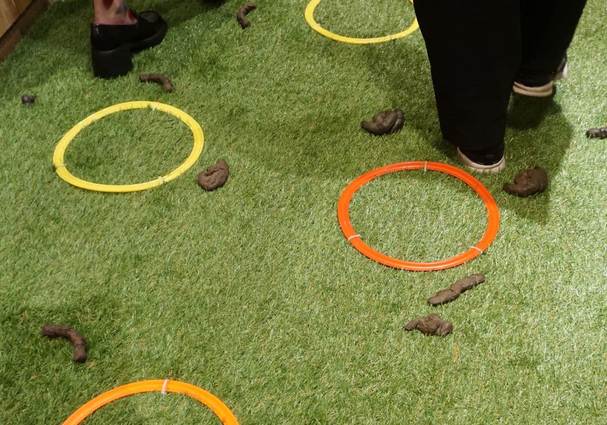 立川PLAY! MUSEUM「大ピンチ展！プラス」