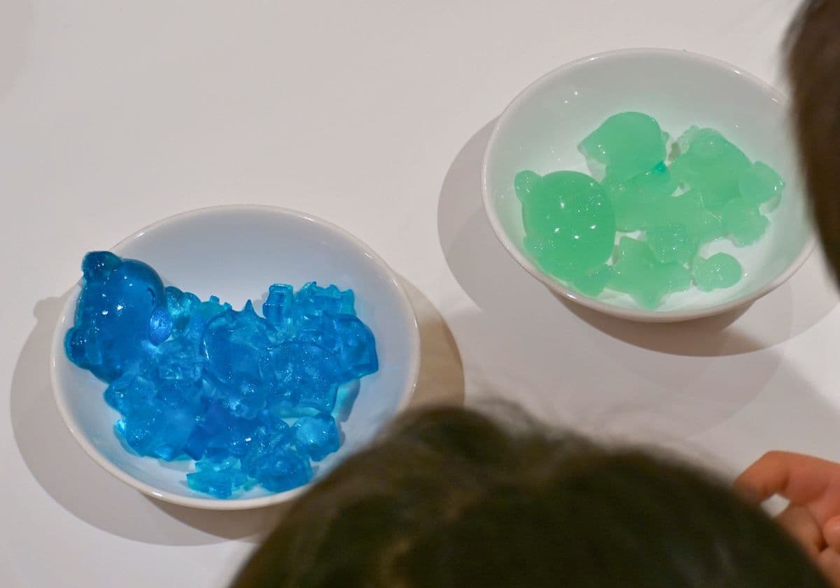 RISSHO KID'S きらり 代沢