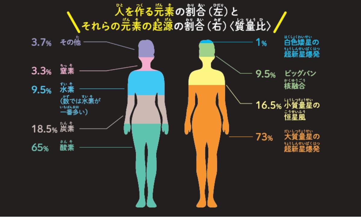 私たちは星と同じ成分でできている？の画像2
