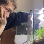 水の生きものセカンドライフ 瀕死の生きものを救ったら、ゆかいな日々が訪れた