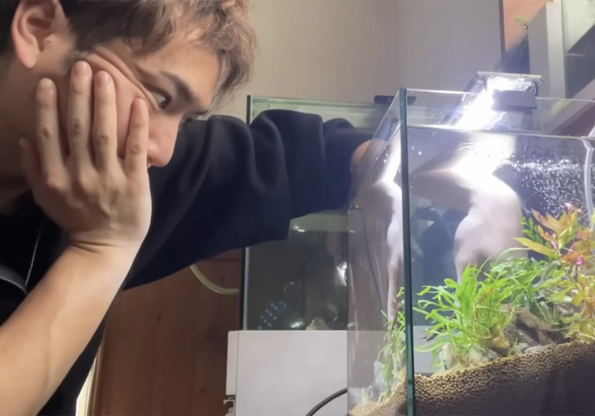 水の生きものセカンドライフ 瀕死の生きものを救ったら、ゆかいな日々が訪れた