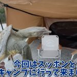 水の生きものセカンドライフ 瀕死の生きものを救ったら、ゆかいな日々が訪れた