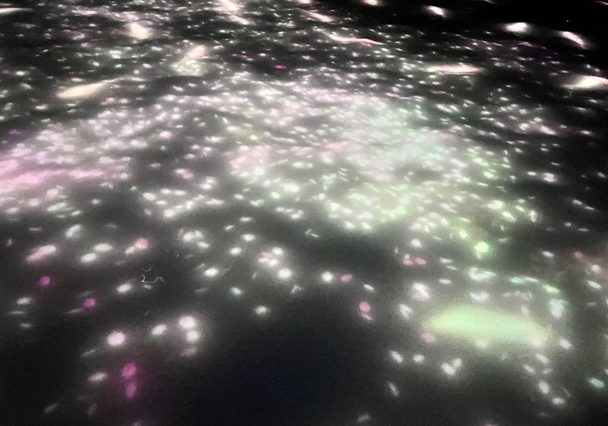 チームラボプラネッツ