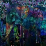 チームラボプラネッツ