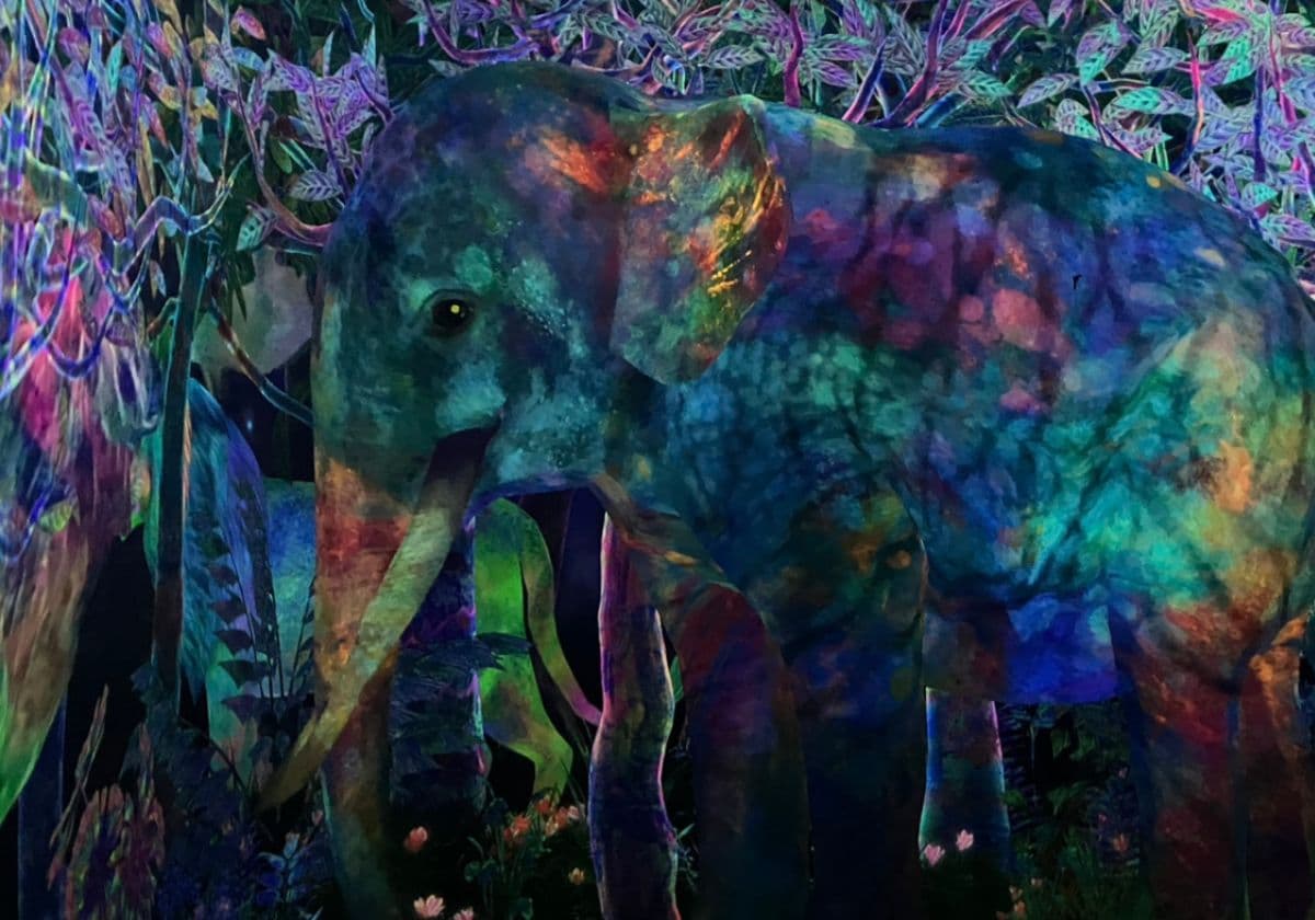 チームラボプラネッツ