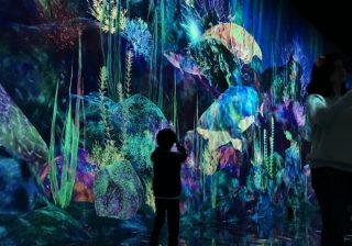 「これは子どもが一生帰らないやつ」 豊洲チームラボプラネッツ“沼エリア”に行ったら6歳男子がドハマりした話