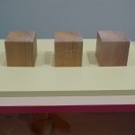ニフレル「毒にふれる」ゾーン