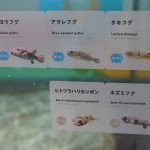 ニフレル「毒にふれる」ゾーン
