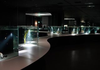 【現地レポ】日本一美しい水族館かも…？ 大阪・ニフレルのアートな館内で見る生き物たち