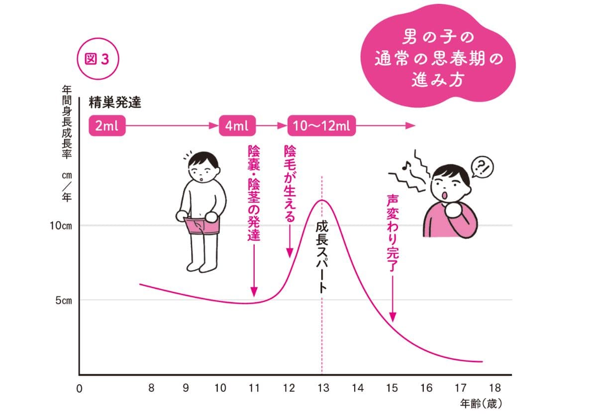 『うちの子発育が早いかなと思ったら読む本』より