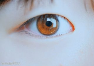 人はなぜ不安な時に「おばけを見てしまう」のか？ 京大教授が子どもの疑問に真剣回答