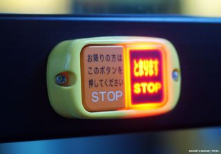 バスの「とまります」ボタンを押したがる子の頭の中は？ 京大教授が２つの心理を解説