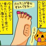『しょこたんの子育てクエスト　ママLV.1』より