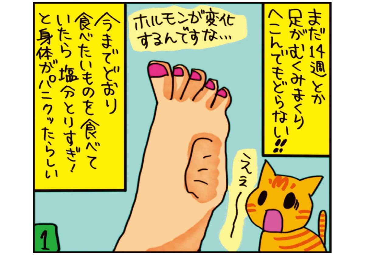『しょこたんの子育てクエスト　ママLV.1』より