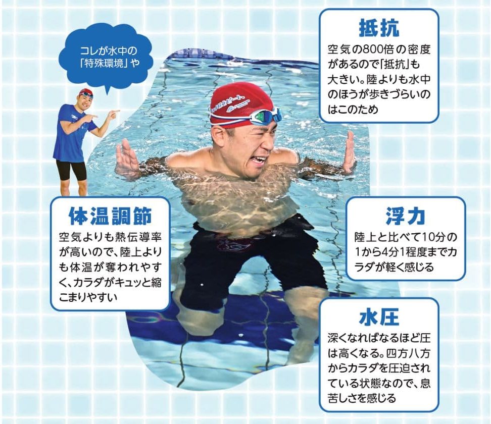 『魔法のスイミングレクチャー』より