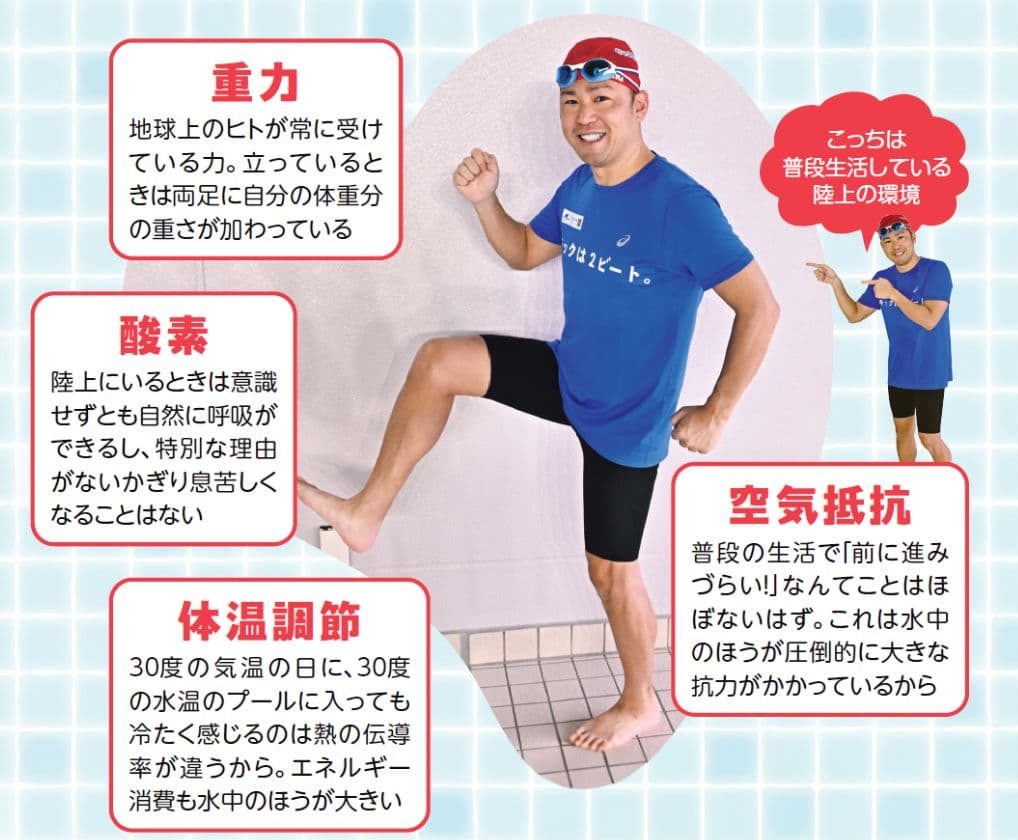 『魔法のスイミングレクチャー』より