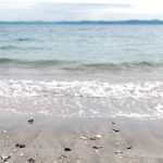 『子どもと海あそび』より