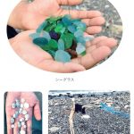 『子どもと海あそび』より