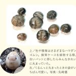 『子どもと海あそび』より