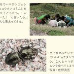 『子どもと海あそび』より