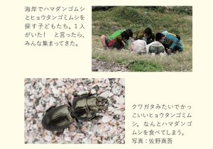 『子どもと海あそび』より