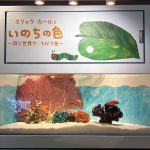 「エリック・カールと いのちの色ー同じ世界で、ちがう色ー」