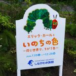 「エリック・カールと いのちの色ー同じ世界で、ちがう色ー」