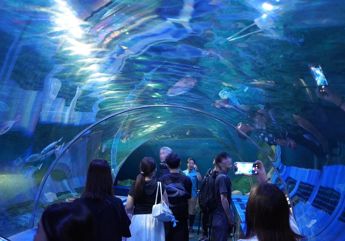 しながわ水族館「トンネル水槽」