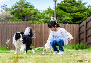 子どもがペットに噛まれた…消毒より先にすべきこと　小児科医が教える受診の目安