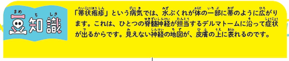 あなたの皮膚にも「謎のしま模様」がある？ 人体に隠された見えない地図の正体の画像2