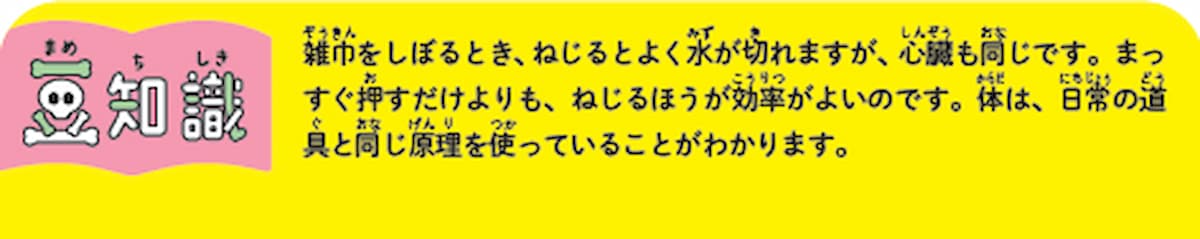 心臓のねじれとは?の豆知識