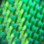 レイメイ藤井 ハンディ顕微鏡 petit