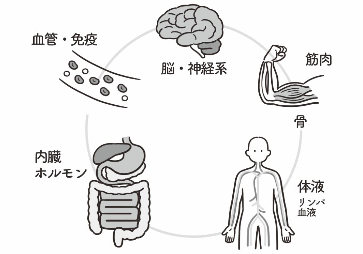『子どもの気になる言動が改善する からだの使い方』(ディスカヴァー・トゥエンティワン)より